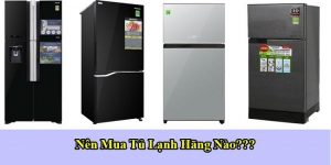 nen mua tu lanh hang nao